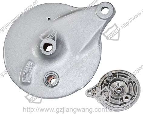 Motorcycle Rear Wheel Hub Cover  BAJAJ CT1O0